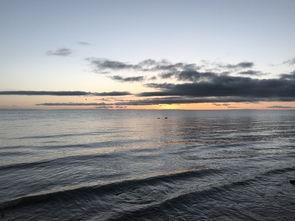 瓜洲免费吃瓜在哪了,探寻美食新地标